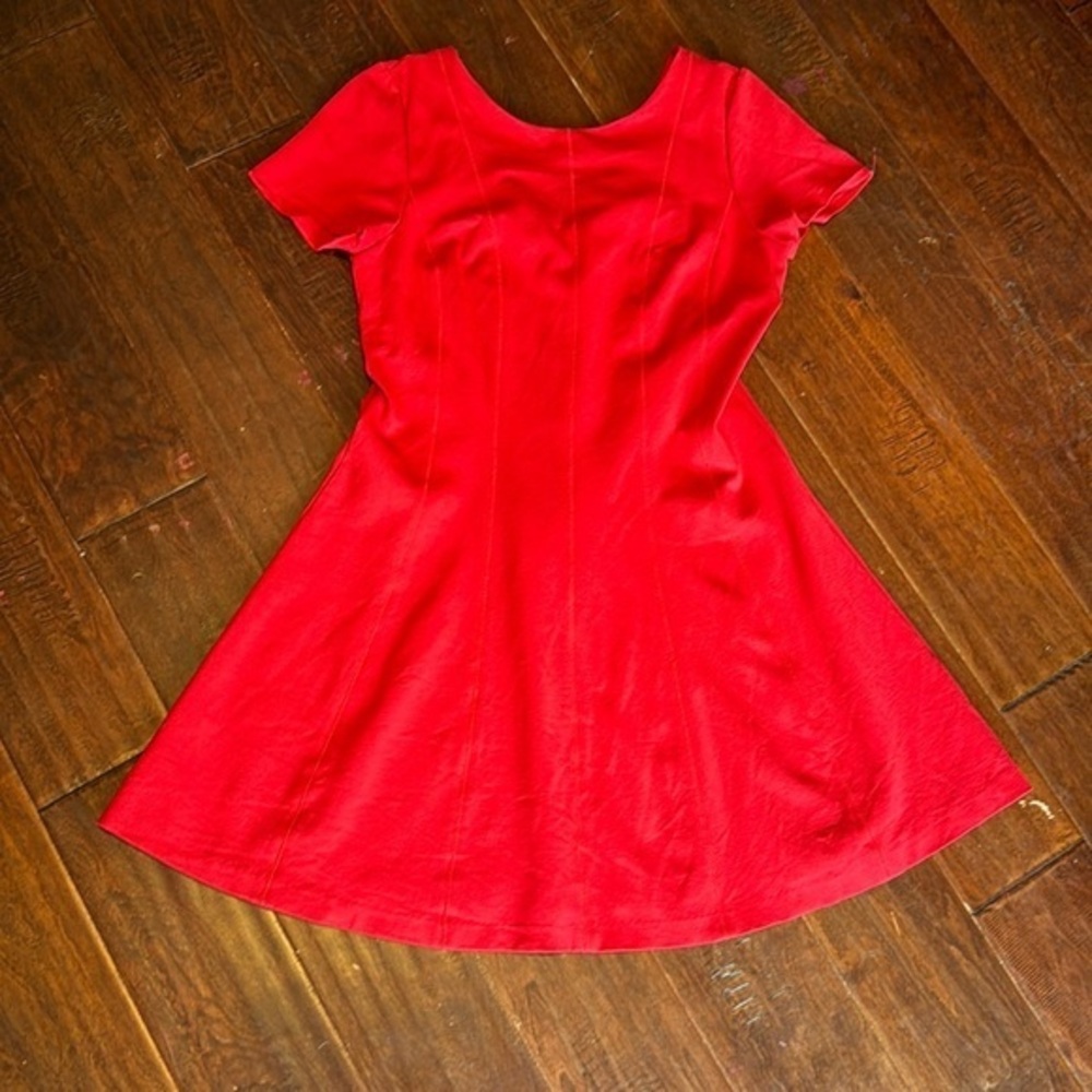 Banana Republic red mini dress detailed seaming fit and flare size 10 gold zip